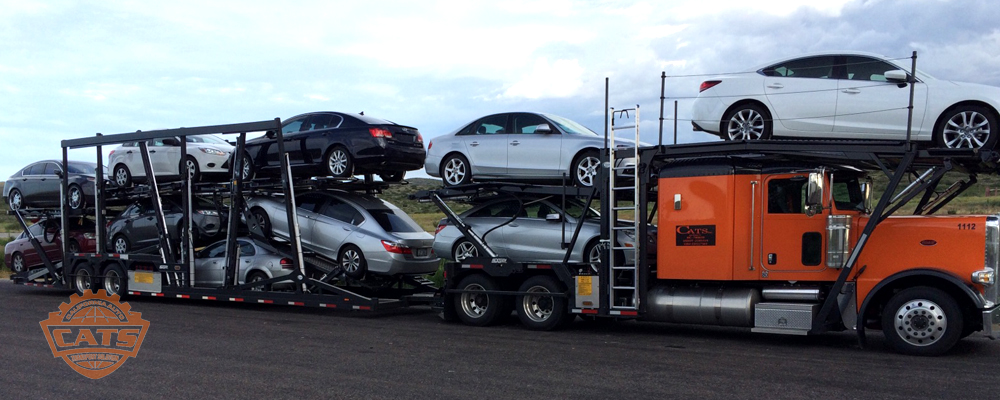 Auto Transportation