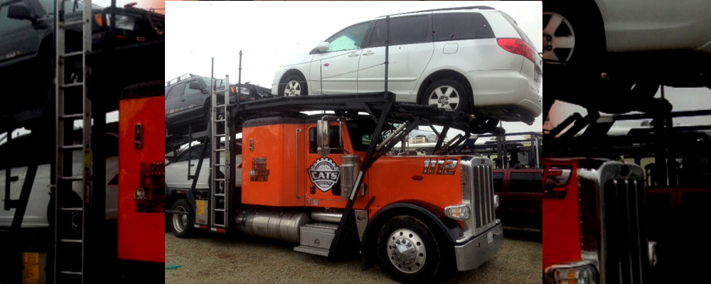 Cats Auto Transport, move my car auto carrier, automobile transportation