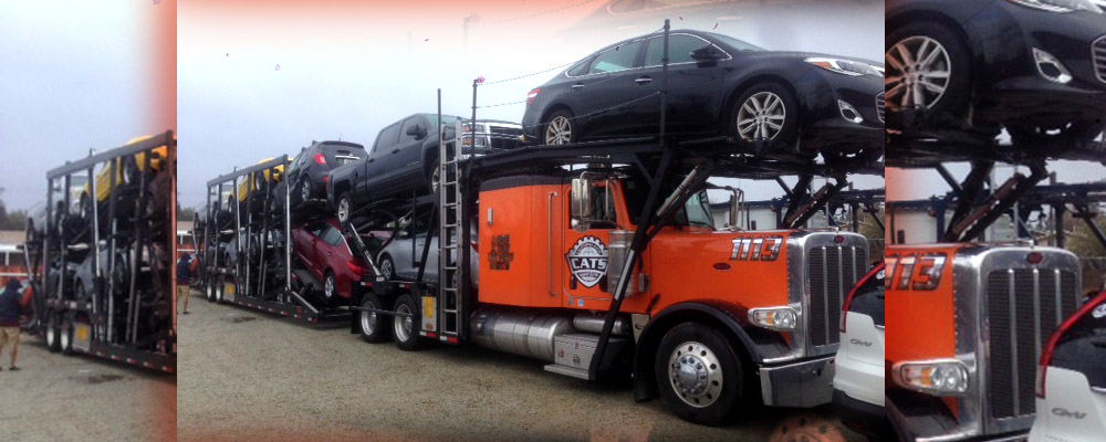 Cats Auto Transport, move my car auto carrier, automobile transportation