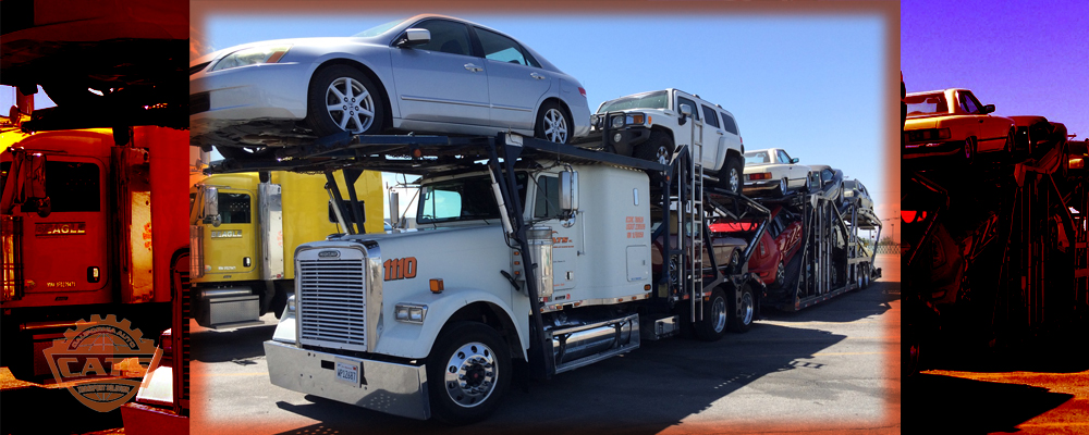 auto transport, cats auto carrier, move my car